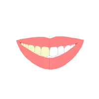 Estética dental: blanqueamiento, carillas y ortodoncia